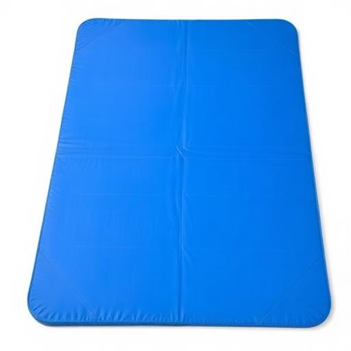 Grappling Mat